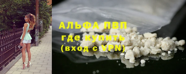 бошки Пересвет