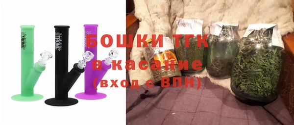 бошки Пересвет