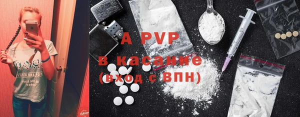 бошки Пересвет