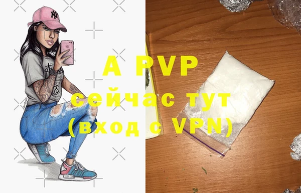 бошки Пересвет