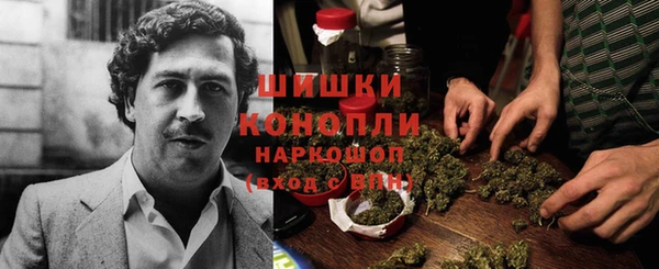 spice Пестово